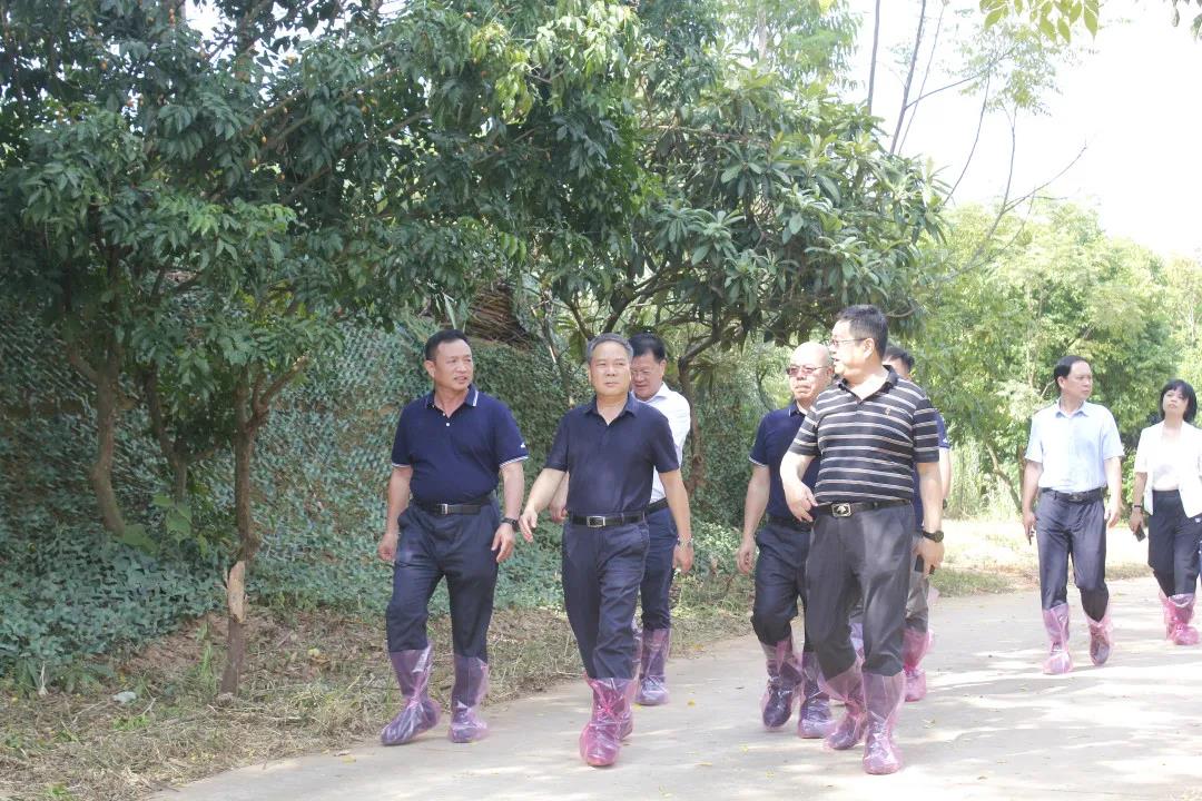 自治區(qū)政協(xié)副主席黃洲一行蒞臨皇氏集團(tuán)摩拉菲爾奶水牛觀光牧場(chǎng)調(diào)研